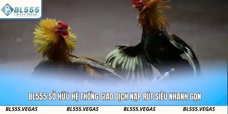 BL555 sở hữu hệ thống giao dịch nạp rút siêu nhanh gọn