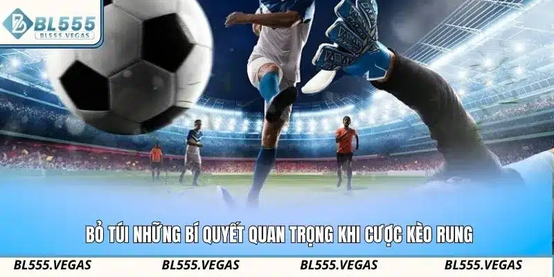 Bỏ túi những bí quyết quan trọng khi cược kèo rung